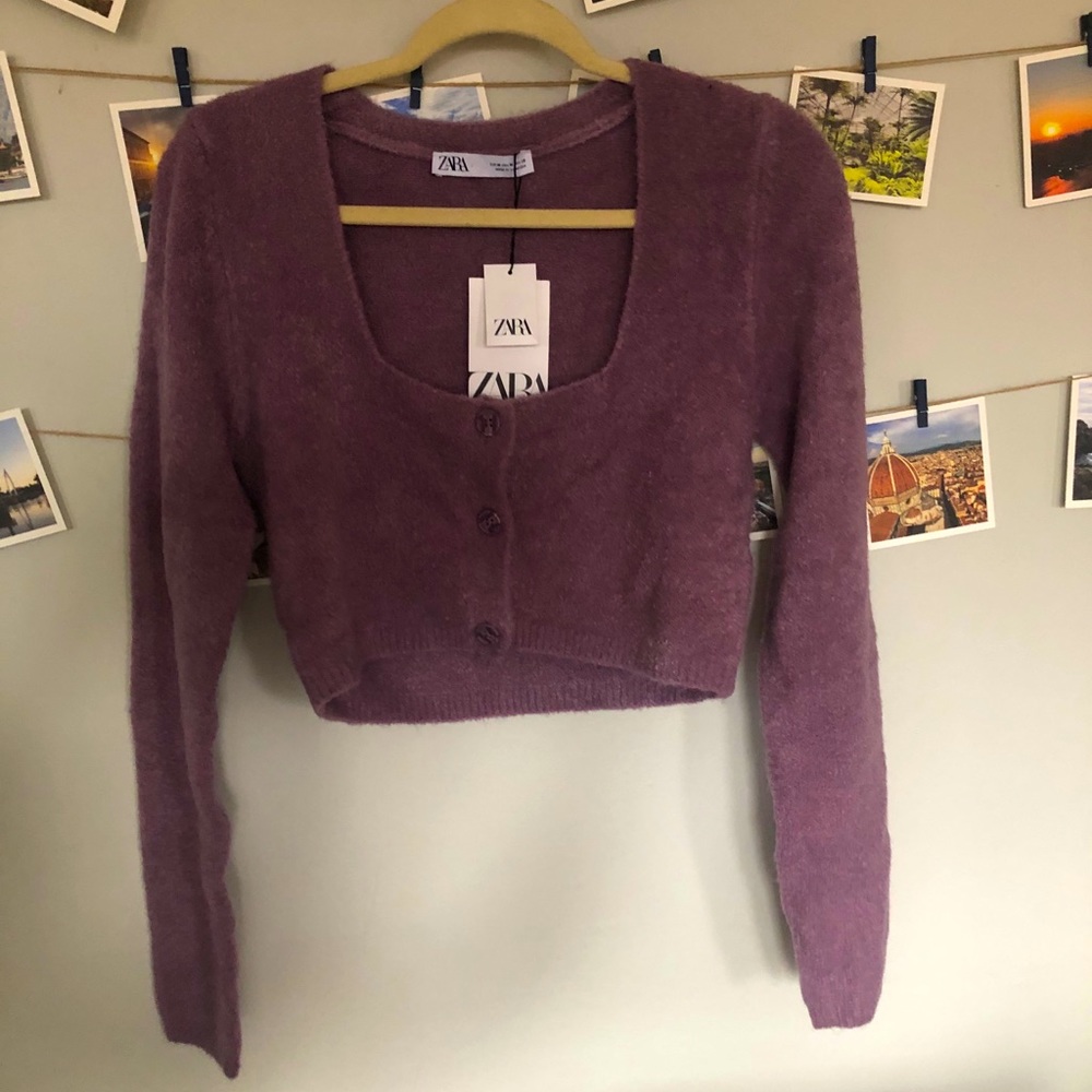 Zara Cropped Sweater